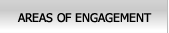 Areas of Engagement